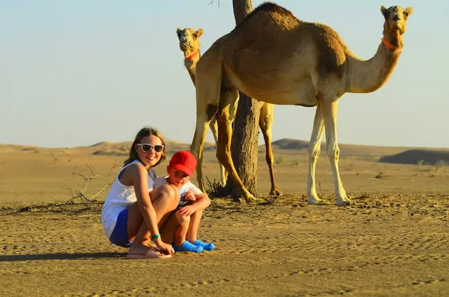 Bedouin Oasis: Abendsafari mit Dünenfahrt und Grillessen – Aufnahme zum Erlebnis – Bild 11