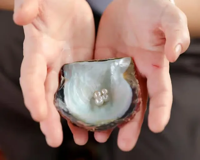 Abu Dhabi Pearl Heritage Experience with Oyster Opening experience in Abu Dhabi