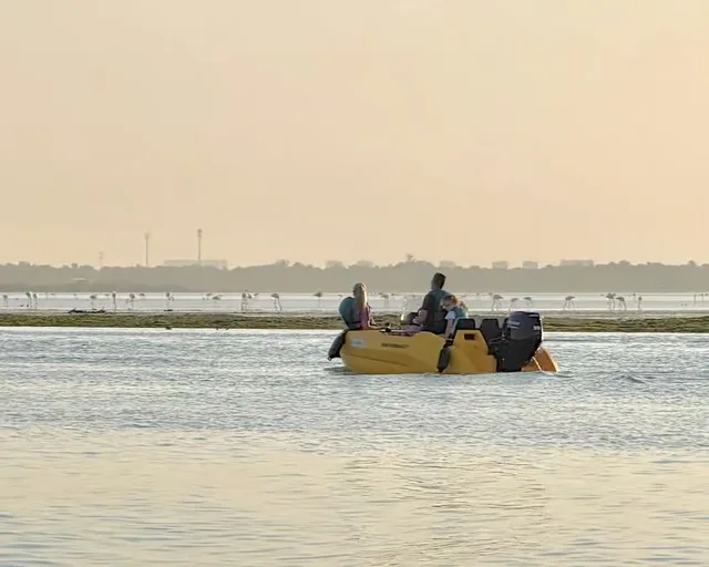 Yas Island: privates Boot für eine Stunde selbst fahren – Aufnahme zum Erlebnis – Bild 2