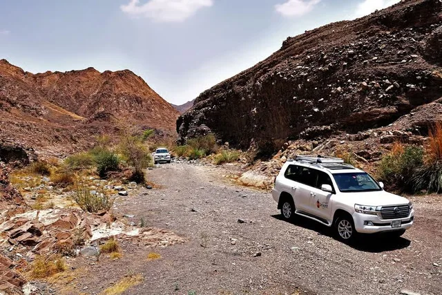 Private Wüstentour und Wadi Shawka ab Dubai – Aufnahme zum Erlebnis – Bild 2