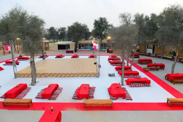 Bedouin Oasis: Abendsafari mit Dünenfahrt und Grillessen – Aufnahme zum Erlebnis – Bild 15