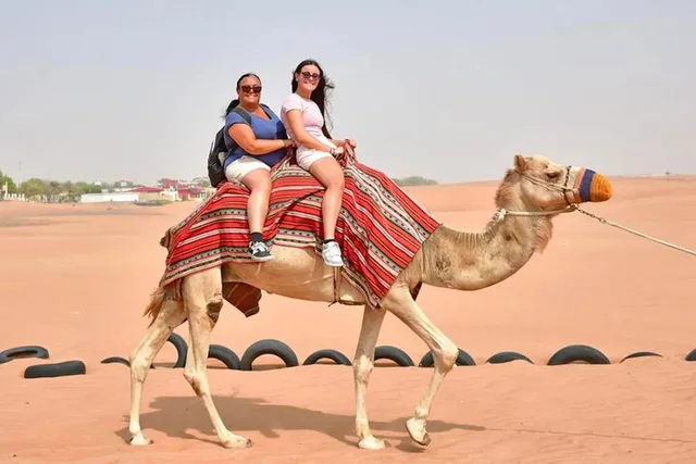 Private Morgensafari Dubai: Dünen, Al Qudra und Tierbeobachtung – Aufnahme zum Erlebnis – Bild 10