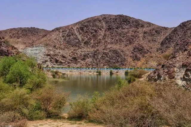 Private Wüstentour und Wadi Shawka ab Dubai – Aufnahme zum Erlebnis – Bild 4
