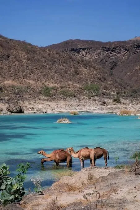 Ostsalalah halbtags: Sumhuram, Taqah und Wadi Darbat – Aufnahme zum Erlebnis – Bild 8