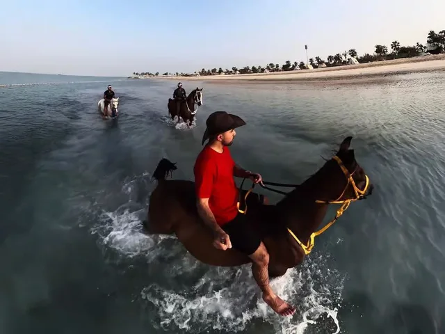 Reiten auf Hudairiyat Island: geführte Küsteneinheit – Aufnahme zum Erlebnis – Bild 3