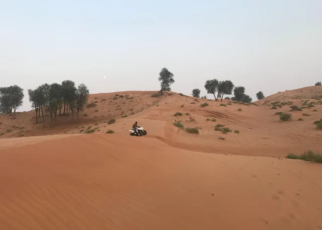 Geführte Quadtour in Ras Al Khaimah mit Hotelabholung – Aufnahme zum Erlebnis – Bild 5