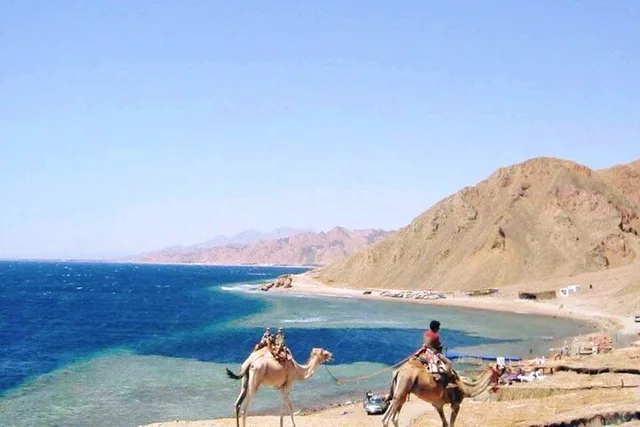 Dahab Blue Hole Snorkeling, Camel & Quad Tour with Lunch — photo 8
