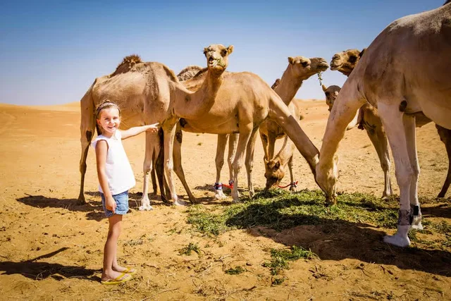 Abu Dhabi Morgensafari mit Quad und Sandboarding – Aufnahme zum Erlebnis – Bild 12