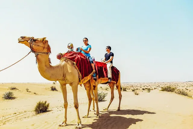 Rote Dünen in Lahbab: Safari, Kamel und Sandboarding – Aufnahme zum Erlebnis – Bild 12