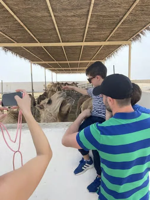 Bahrain Süd-Nord-Tour: Baum des Lebens, Fort und Souq – Aufnahme zum Erlebnis – Bild 8