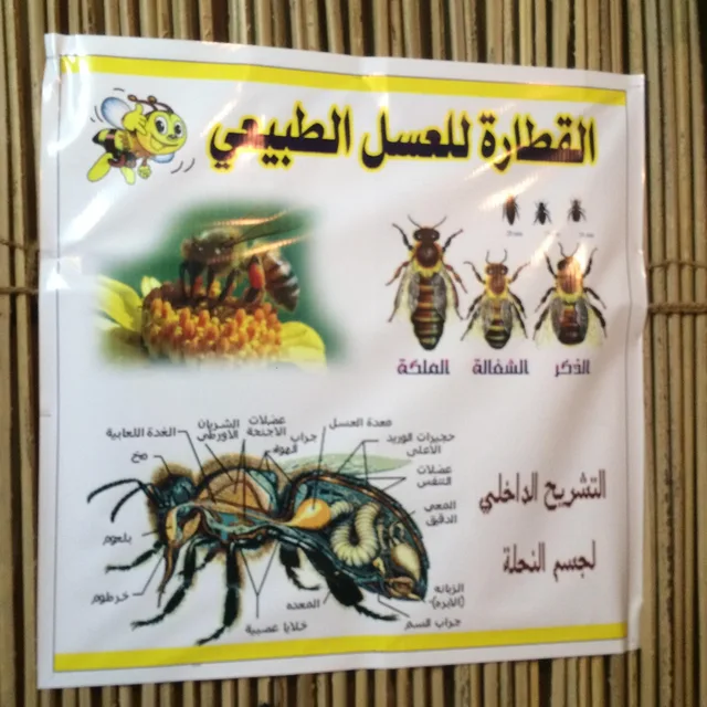 Hili und Al Qattara: private Kulturroute in Al Ain – Aufnahme zum Erlebnis – Bild 15
