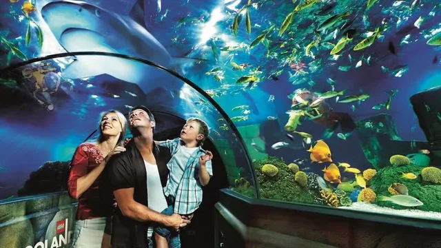 Dubai Aquarium und Underwater Zoo: Ticketvarianten vergleichen – Aufnahme zum Erlebnis – Bild 4