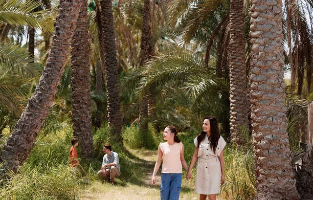 Al Ain Stadttour: Oase, Festungen und Jebel Hafeet – Aufnahme zum Erlebnis – Bild 11