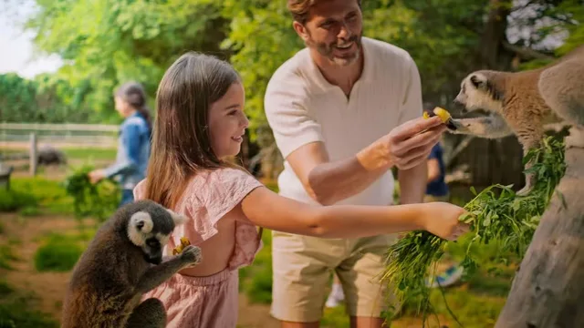 Dubai Safari Park: Eintritt oder Explorer-Paket – Aufnahme zum Erlebnis – Bild 11