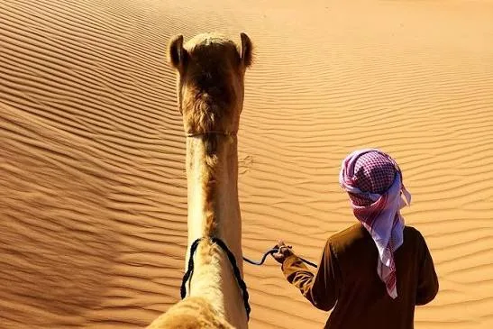 Abu Dhabi Wüstensafari zum Sonnenaufgang – Aufnahme zum Erlebnis – Bild 5