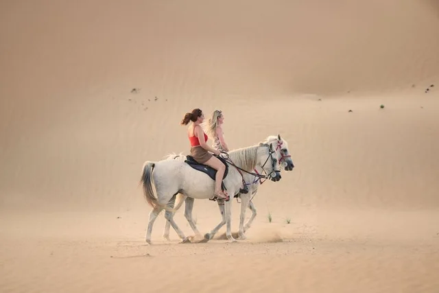 Reiten bei Doha: Wüstenroute mit Transfers – Aufnahme zum Erlebnis – Bild 6