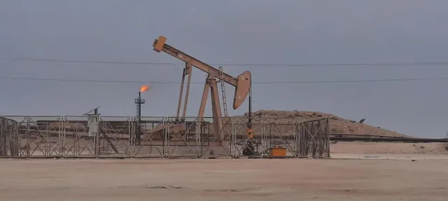 Bahrain Wüstentour: Baum des Lebens und Ölgeschichte – Aufnahme zum Erlebnis – Bild 15