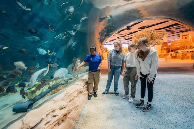 SeaWorld Abu Dhabi: Tagesticket für den Meeres-Themenpark – Aufnahme zum Erlebnis – Bild 12
