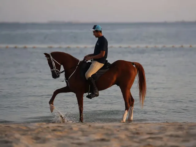 Reiten auf Hudairiyat Island: geführte Küsteneinheit – Aufnahme zum Erlebnis – Bild 4