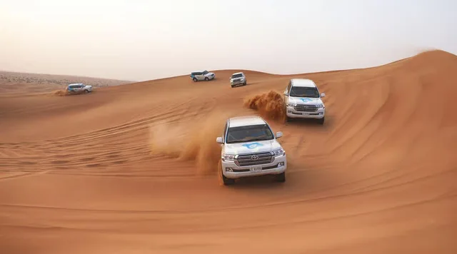 Dubai Wüstensafari: Dünen, Kamelritt und Buggy-Option – Aufnahme zum Erlebnis – Bild 18