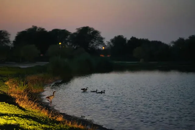 Dubai Abendsafari: Al Marmoom und Sterne beobachten – Aufnahme zum Erlebnis – Bild 3