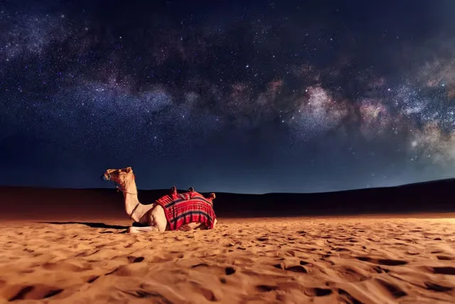 Dubai Abendsafari: Al Marmoom und Sterne beobachten – Aufnahme zum Erlebnis – Bild 9