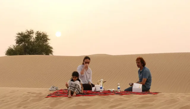 Private Morgensafari Dubai: Dünen, Al Qudra und Tierbeobachtung – Aufnahme zum Erlebnis – Bild 2