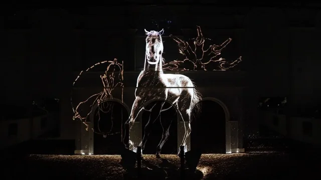 Furusiyya in Abu Dhabi: ADREA-Reitshow mit Silver-Sitzplatz – Aufnahme zum Erlebnis – Bild 4