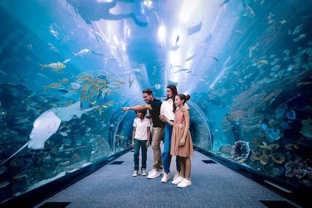 Dubai Aquarium und Underwater Zoo: Ticketvarianten vergleichen – Aufnahme zum Erlebnis – Bild 11