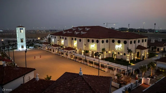 Furusiyya in Abu Dhabi: ADREA-Reitshow mit Silver-Sitzplatz – Aufnahme zum Erlebnis – Bild 11
