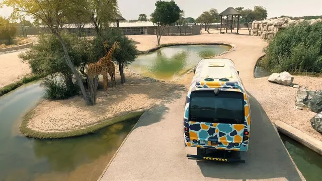 Dubai Safari Park: Eintritt oder Explorer-Paket – Aufnahme zum Erlebnis – Bild 10