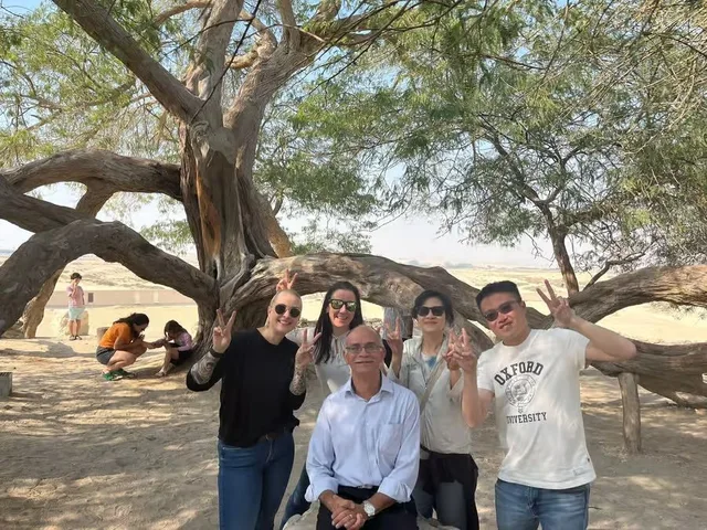 Bahrain Wüstentour: Baum des Lebens und Ölgeschichte – Aufnahme zum Erlebnis – Bild 11