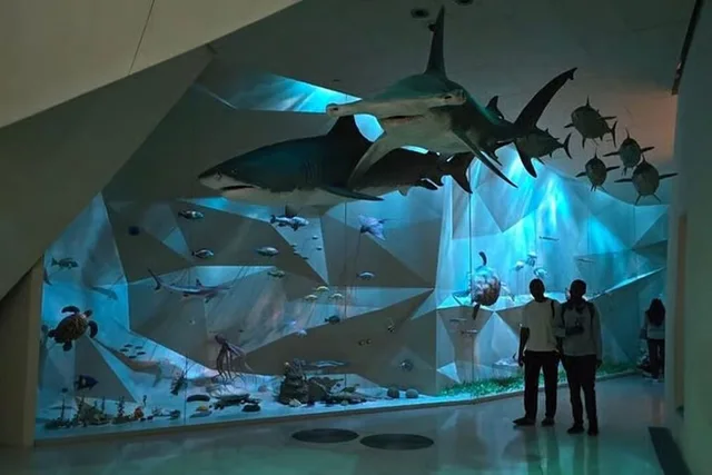 Doha Museumstag: Kunst, Geschichte und passende Eintritte – Aufnahme zum Erlebnis – Bild 4