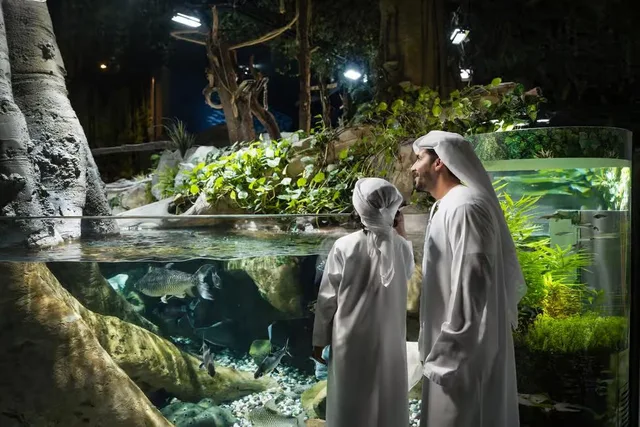 Dubai Aquarium und Underwater Zoo: Ticketvarianten vergleichen – Aufnahme zum Erlebnis – Bild 7