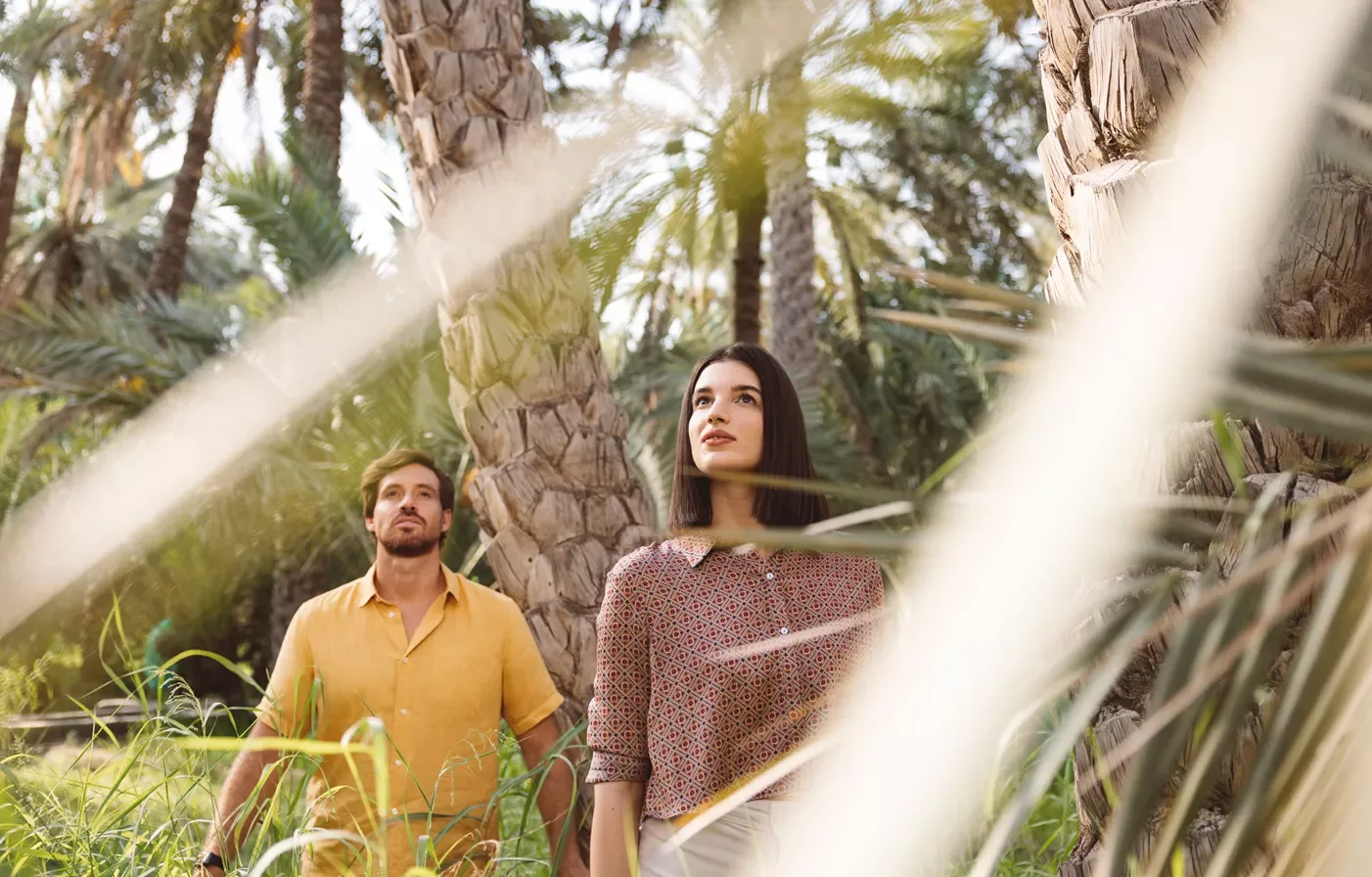 Al Ain Ausflüge: Oasen, Kultur und besondere Erlebnisse