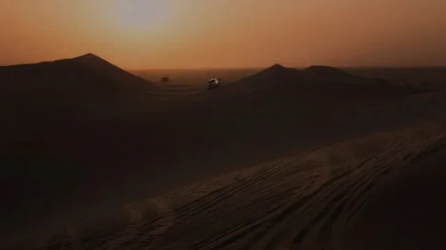 Doha Nachtsafari: Wüstenfahrt und Sternenhimmel – Aufnahme zum Erlebnis – Bild 9