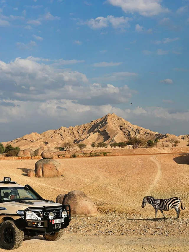 Al Ain Zoo: Eintritt, Safari Truck und privates Safari-Fahrzeug – Aufnahme zum Erlebnis – Bild 11
