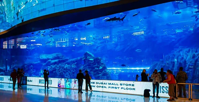 Dubai Tagesausflug ab Abu Dhabi: Palm, Altstadt und Dubai Mall – Aufnahme zum Erlebnis – Bild 7