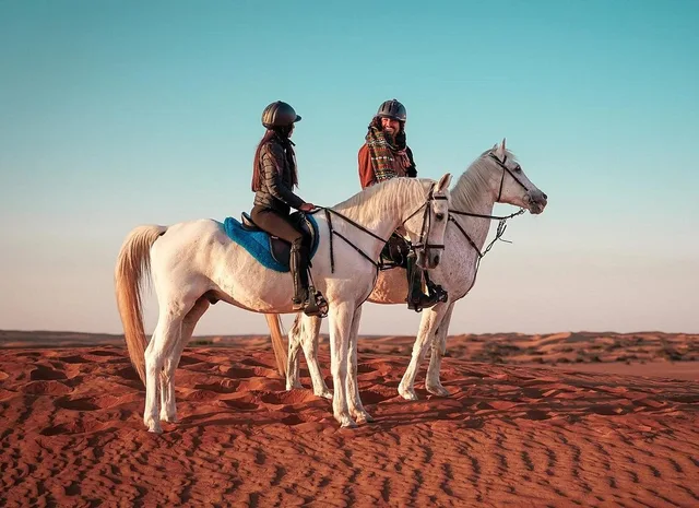 Reiten bei Doha: Wüstenroute mit Transfers – Aufnahme zum Erlebnis – Bild 3