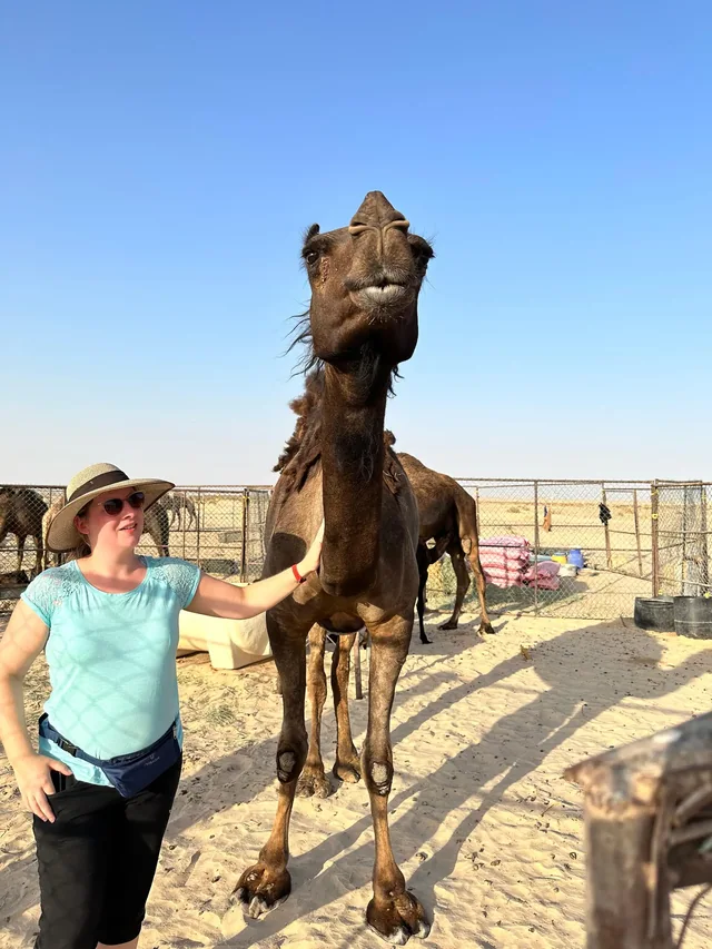 Overnight desert safari photo 39