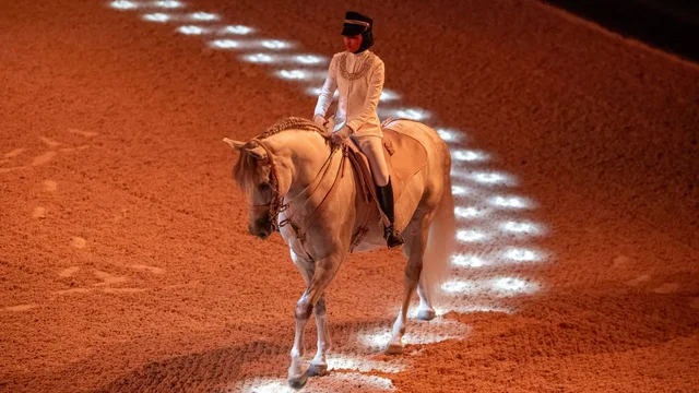 Furusiyya in Abu Dhabi: ADREA-Reitshow mit Silver-Sitzplatz – Aufnahme zum Erlebnis – Bild 9