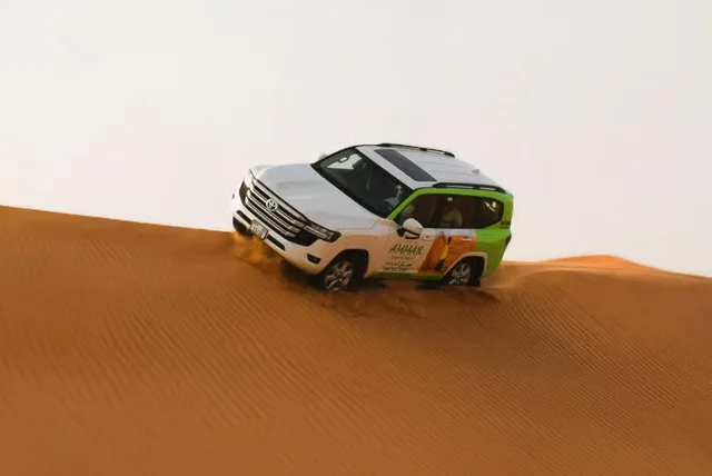 Rote Dünen in Lahbab: Safari, Kamel und Sandboarding – Aufnahme zum Erlebnis – Bild 23