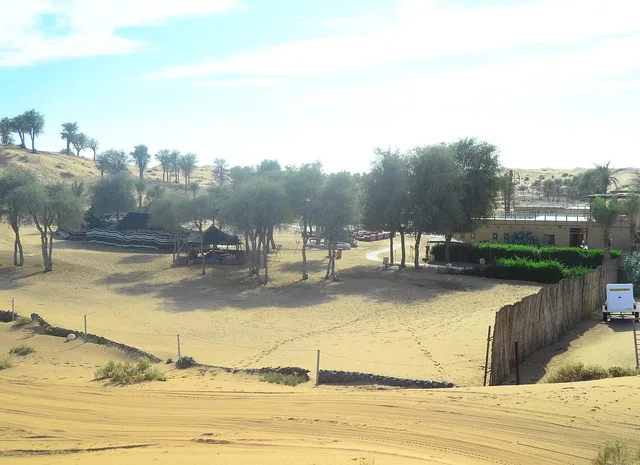 Bedouin Oasis: Abendsafari mit Dünenfahrt und Grillessen – Aufnahme zum Erlebnis – Bild 7