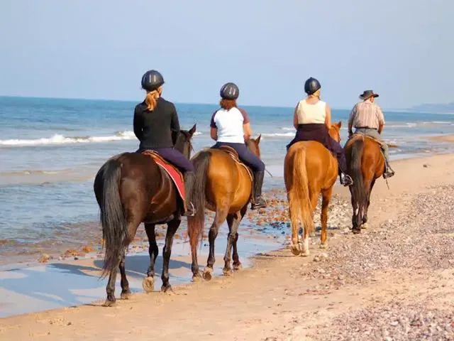 Bahrain: Reiten zum Sonnenuntergang, Kultur und Abendessen – Aufnahme zum Erlebnis – Bild 7