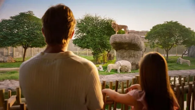 Dubai Safari Park: Eintritt oder Explorer-Paket – Aufnahme zum Erlebnis – Bild 16