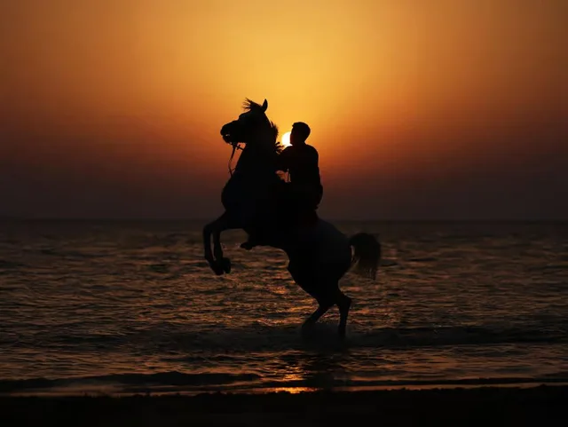 Reiten auf Hudairiyat Island: geführte Küsteneinheit – Aufnahme zum Erlebnis – Bild 2