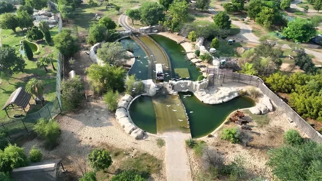 Dubai Safari Park: Eintritt oder Explorer-Paket – Aufnahme zum Erlebnis – Bild 5