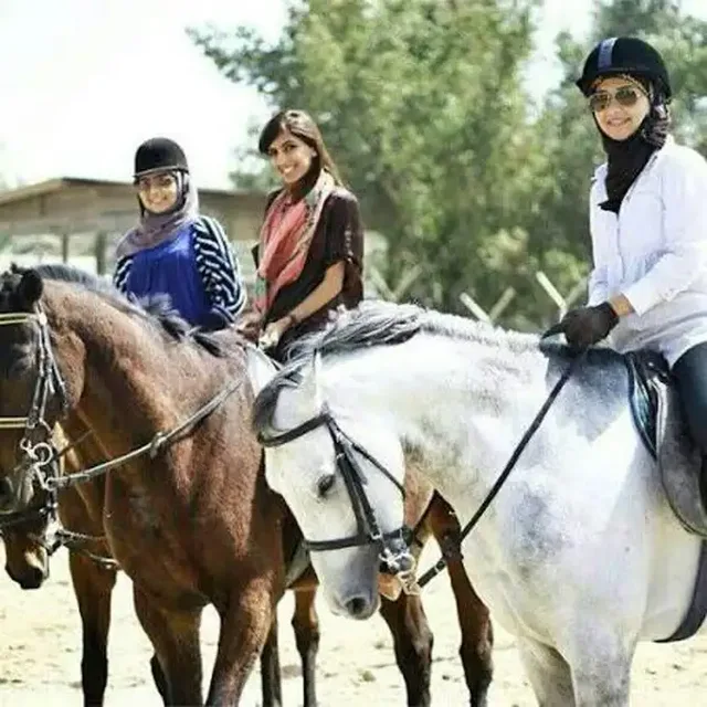 Bahrain: Reiten zum Sonnenuntergang, Kultur und Abendessen – Aufnahme zum Erlebnis – Bild 6